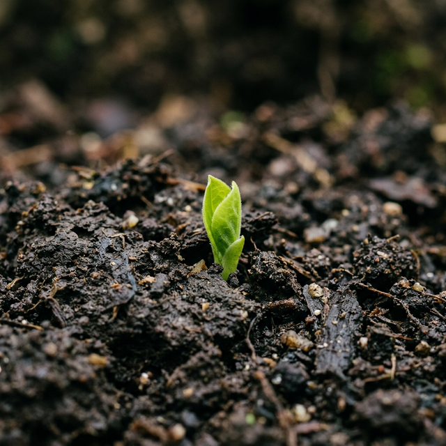 Small Cap Risiko: Was Anleger einkalkulieren müssen